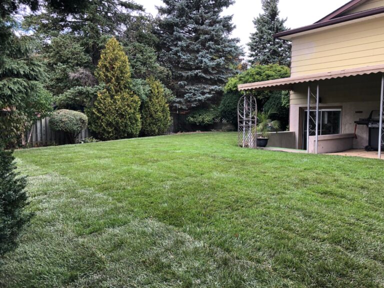 How Long Before You Mow Your New Sod