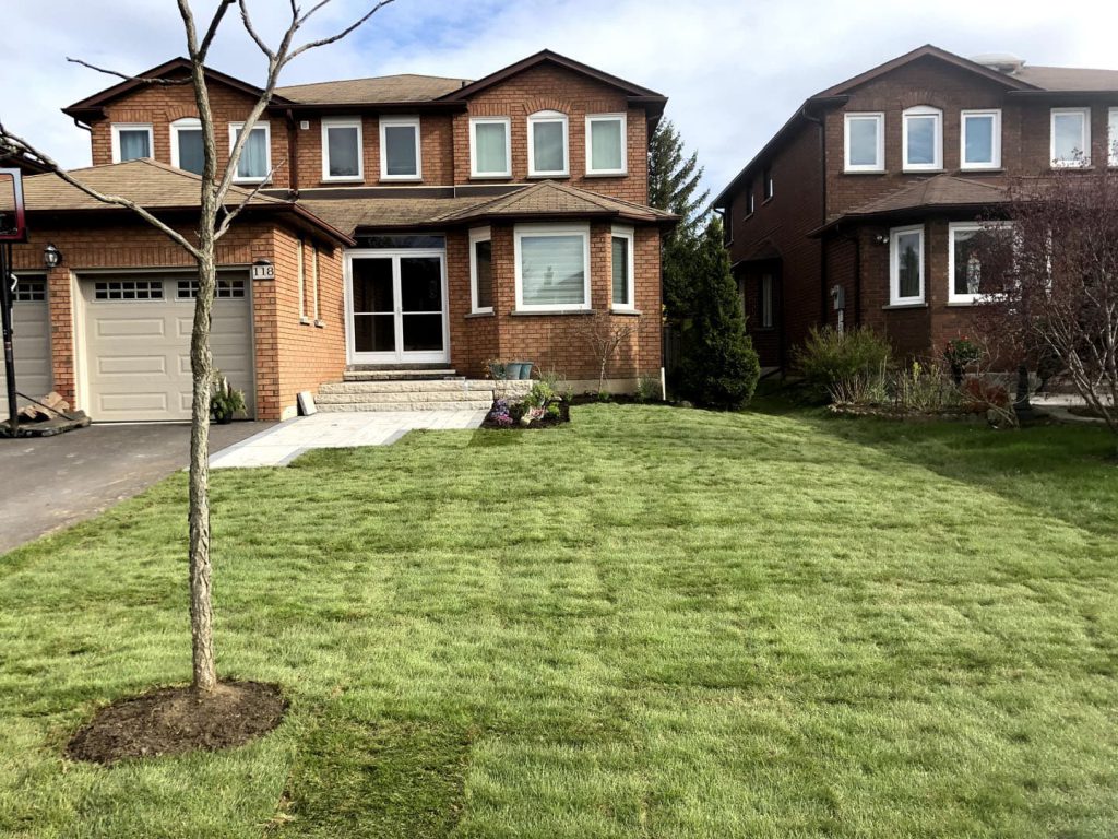 resoding lawn by sodding GTA