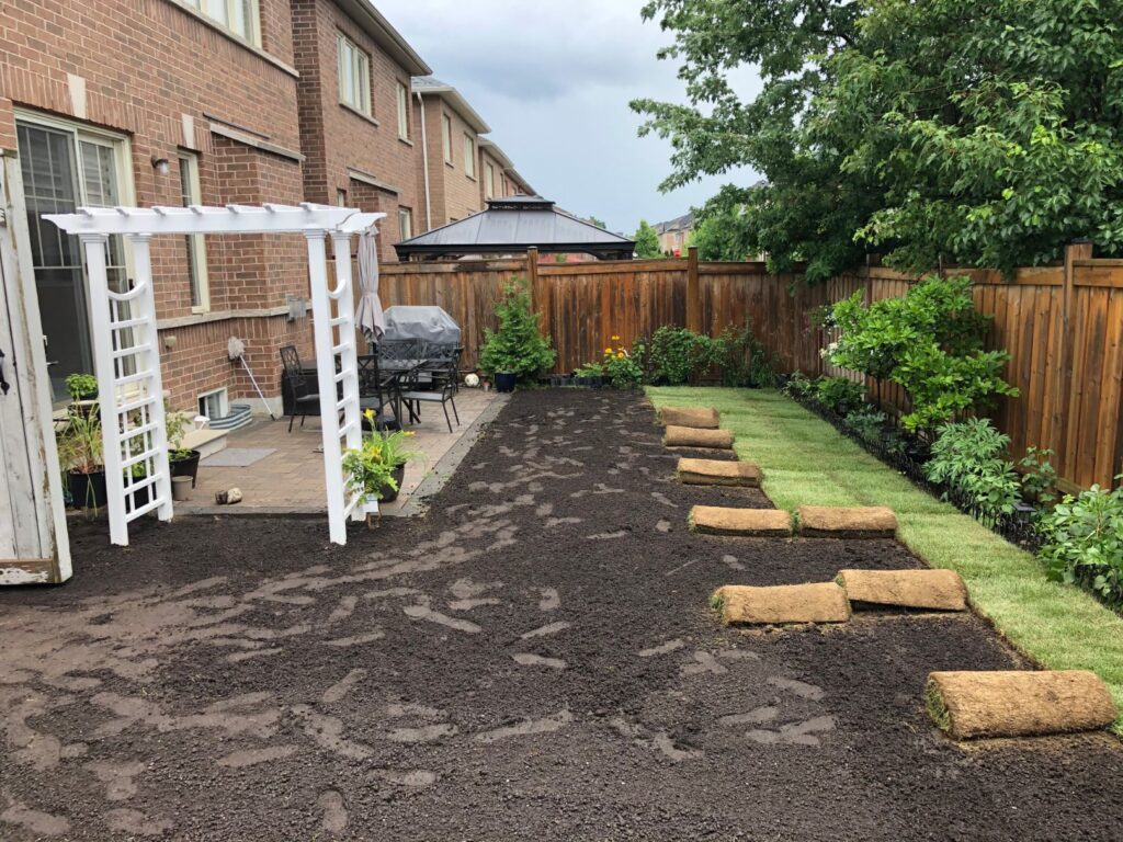 should i fertilize new sod