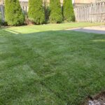 lawn sodding prices